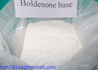 De ruwe Boldenone-Steroïden van Poederboldenone leverancier 