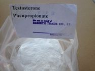 Best Poeder van Phenylproprionate van het Testolent 1255-49-8 Testosteron het Ruwe steroid voor Spieraanwinst te koop