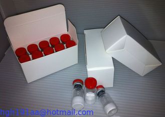 Ansomone 191 HGH-Aminozuursupplement leverancier 