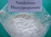 China Steroid Nandrolone Poeder 62-90-8 van Nandrolonephenylpropionate Nandrolone verdeler 