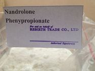 Wettelijk Steroid Gebruik 62-90-8 van Nandrolone Phenylpropionate Nandrolone na Chirurgie te koop